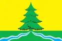 Flag of Sabinsky District