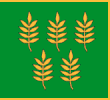 Flag of Skaistgirys