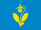Flag of Snåsa kommune