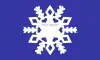 Flag of Snowflake, Arizona