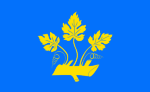 Flag of Stavanger kommune