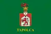 Flag of Tapolca