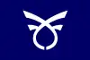 Flag of Tenmabayashi