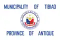 Flag of Tibiao