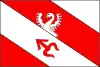 Flag of Tlumačov