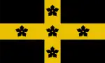 Flag of the Diocese of St Davids