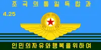The flag of the North Korean air force (1993–present)