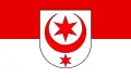 Flag of Halle (Saale)