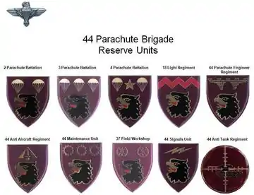 Part Time Units 44 Parachute Brigade