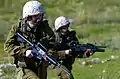 Model 653 Carbines in the IDF.