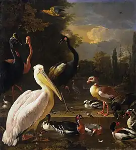 Pelican and Birds Near a Pool, "The Floating Feather" (ca. 1680), oil on canvas, 159 x144 cm., Rijksmuseum
