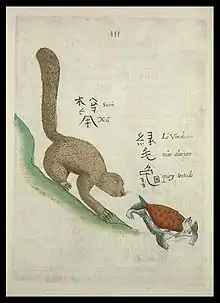 A squirrel (松鼠) chasing a green-haired turtle (绿毛龟)