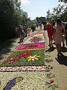 Flower carpets along Corpus Christi procession route in Spycimierz