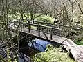 Nature trail footbridge, near the top of Shielhill Glen