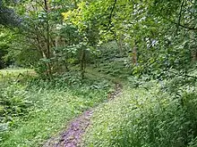 Northpark Copse to Snapelands Copse