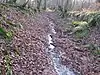 Wakehurst and Chiddingly Woods