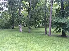 Grass-covered soil mounds with trees growing on top and around them