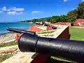 Cannons View