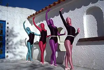 zentai suit