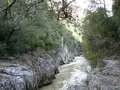 Salazar River