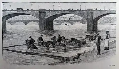Drawing of horses being bathed in the Seine river