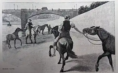 Drawing of horses being led into the Seine river