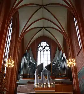 The organ