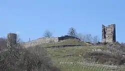Ruins of Freudenberg Castle