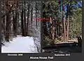 Flood damage along the Alcove House Trail, Bandelier National Monument