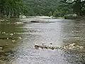 The Frio River flowing through the Garner State Park