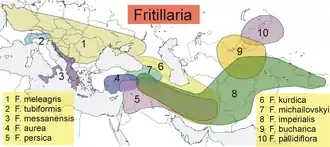 Map showing the distribution of ten species of Fritillaria in Europe and Asia