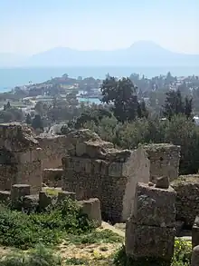 Vue générale de la plaine de Carthage à partir de Byrsa.