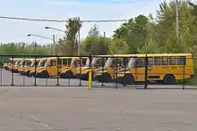Photograph of a fleet of yellow school buses