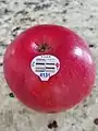 A Fuji apple with a United States PLU code attached