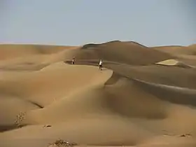 Desert around Liwa