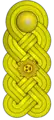 General de brigada(Venezuelan Army)
