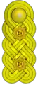 General de division(Venezuelan Army)