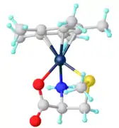 [Cp*Ir(κ3-methionine)]+