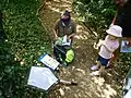 A young entomologist at work on Bugs Day