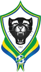 Shirt badge/Association crest