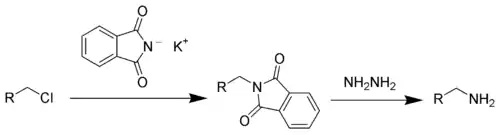 The Gabriel synthesis