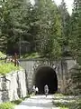 adjacent tunnel