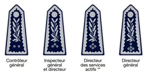 The 4 tiers of directors. They are not ranks but rather Commissaires Généraux who are named at the discretion of the government to these roles.