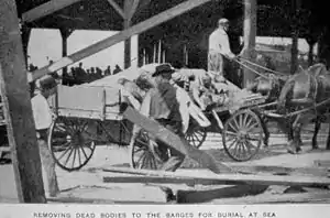 A horse and buggy transporting bodies