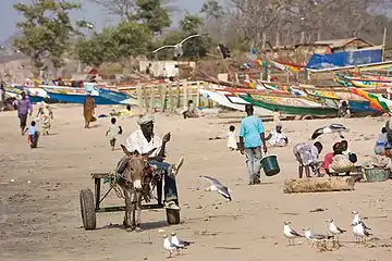 A donkey cart used in the Gambia