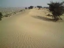 Ganganagar Gharsana tehsil desert