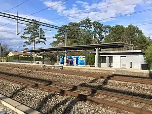 Canopy-covered platform