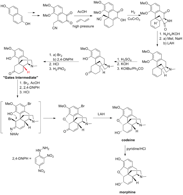 The Bates synthesis