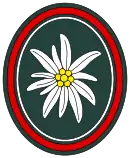 West/German military 23rd mountain rifles troops emblem.