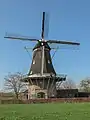 Windsmill: molen de Ster